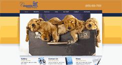 Desktop Screenshot of cahospital.com